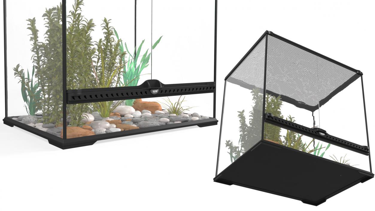 Big Terrarium with Tropic Plants 3D