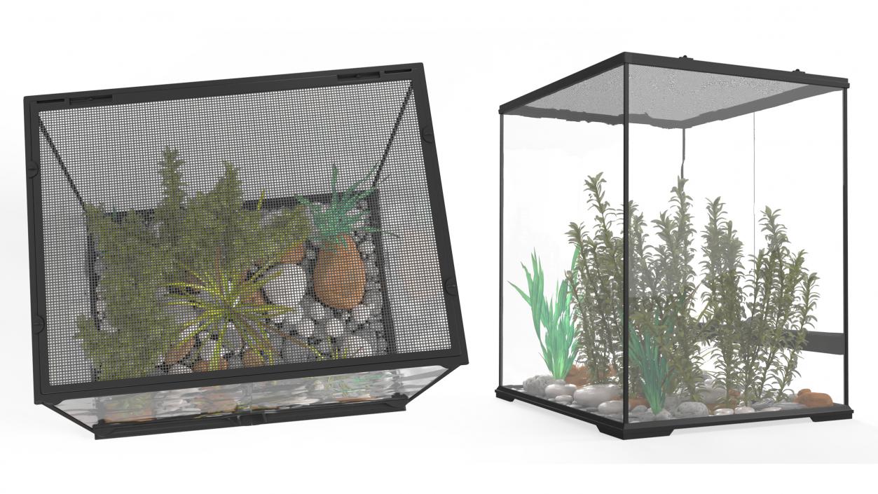 Big Terrarium with Tropic Plants 3D