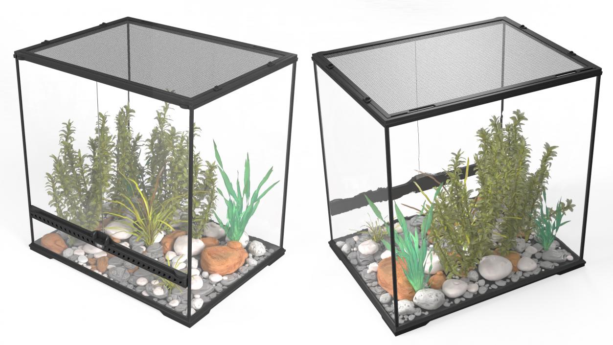 Big Terrarium with Tropic Plants 3D