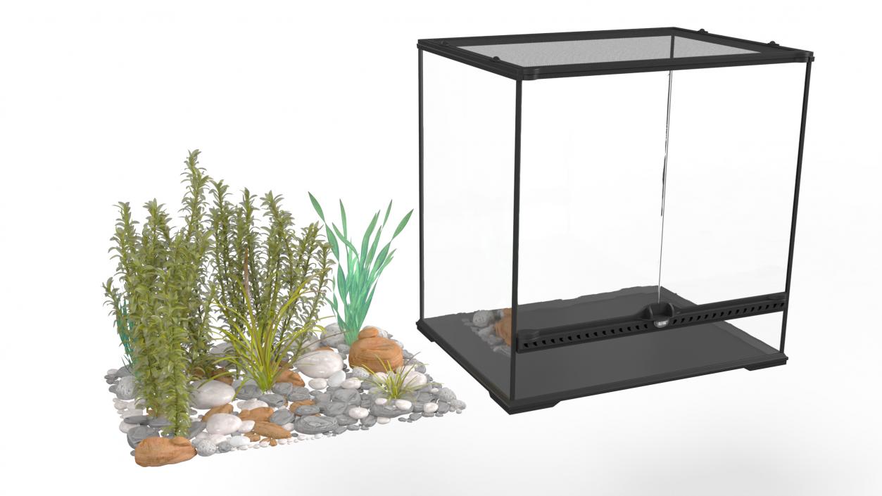 Big Terrarium with Tropic Plants 3D