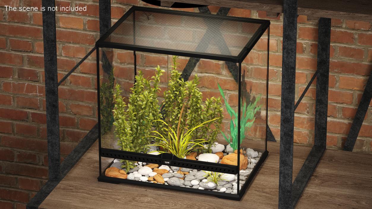 Big Terrarium with Tropic Plants 3D