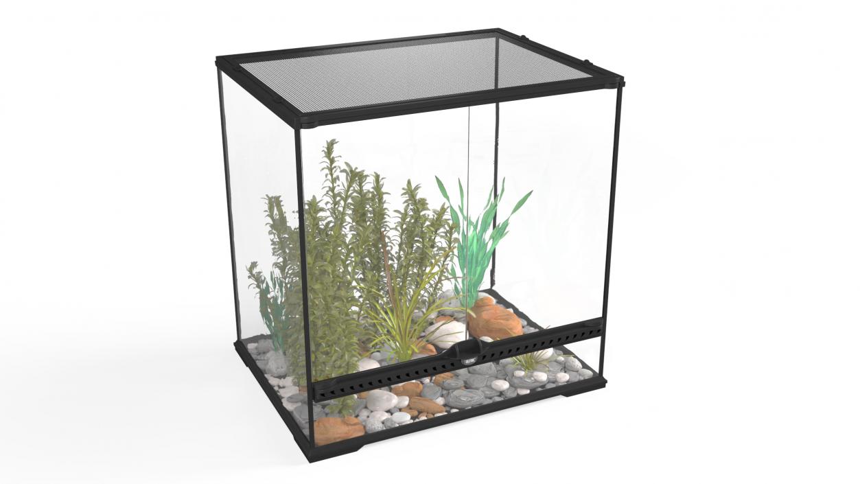 Big Terrarium with Tropic Plants 3D