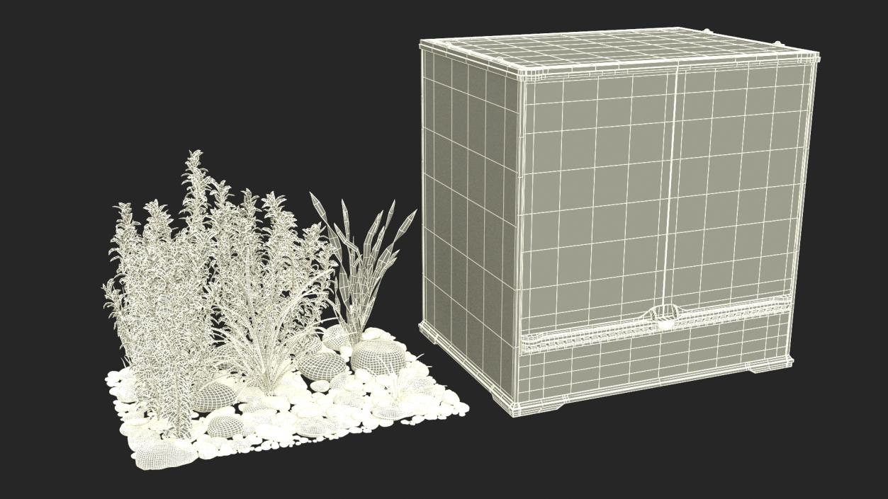 Big Terrarium with Tropic Plants 3D