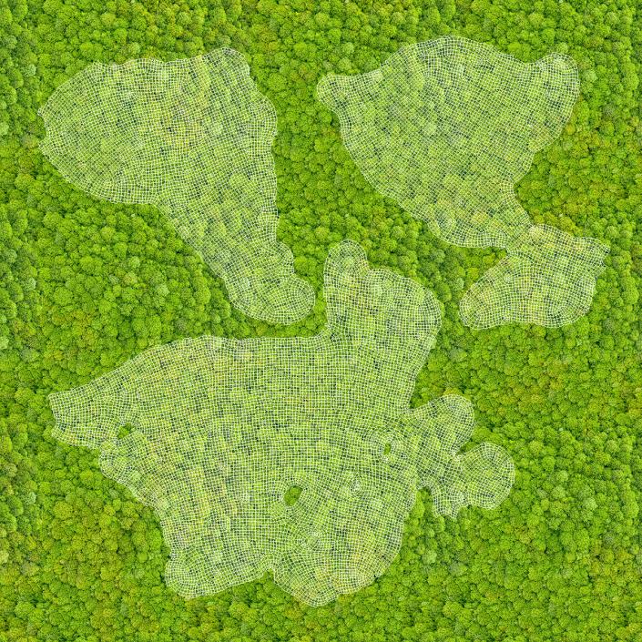 World Map Phytowall Reindeer Moss Panel 3D model