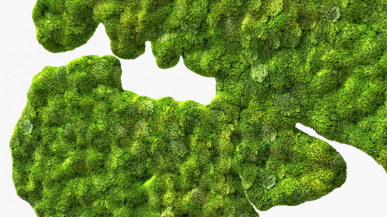 World Map Phytowall Reindeer Moss Panel 3D model