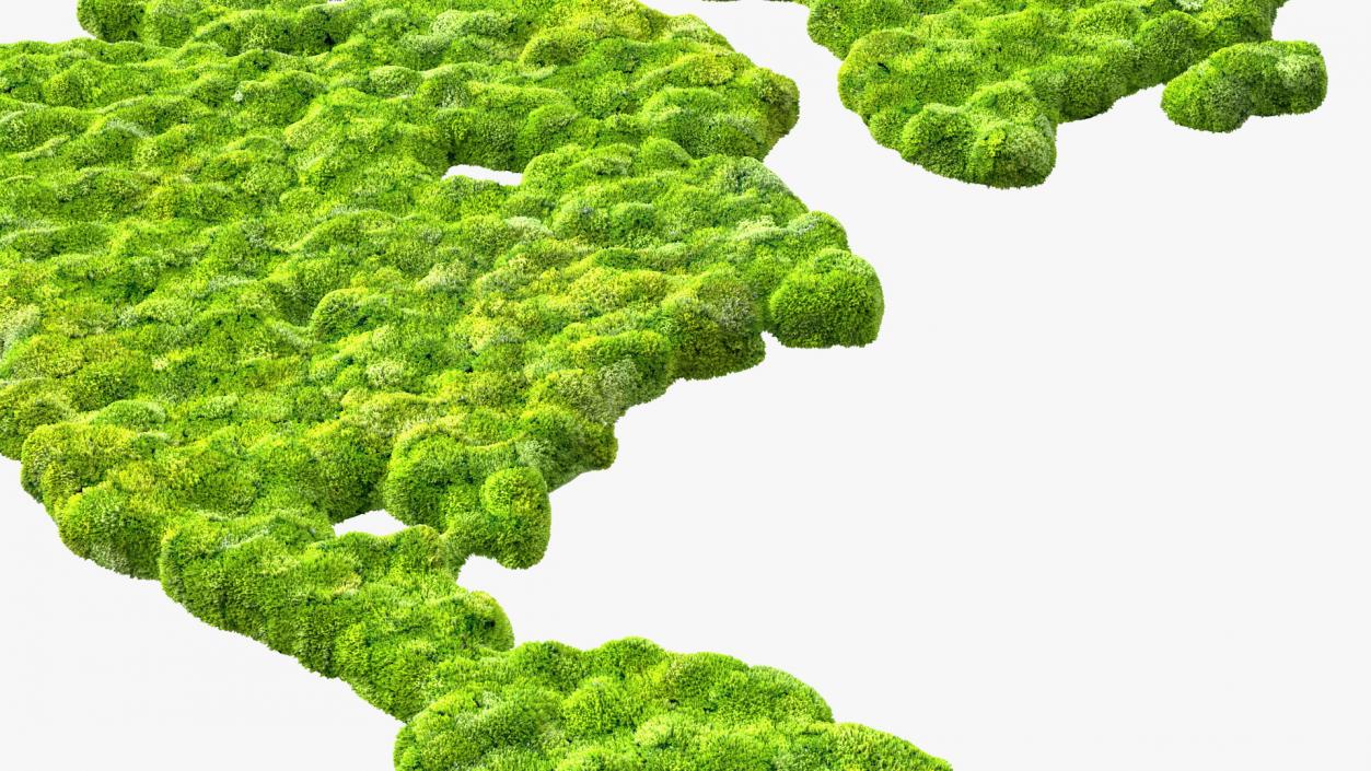 World Map Phytowall Reindeer Moss Panel 3D model