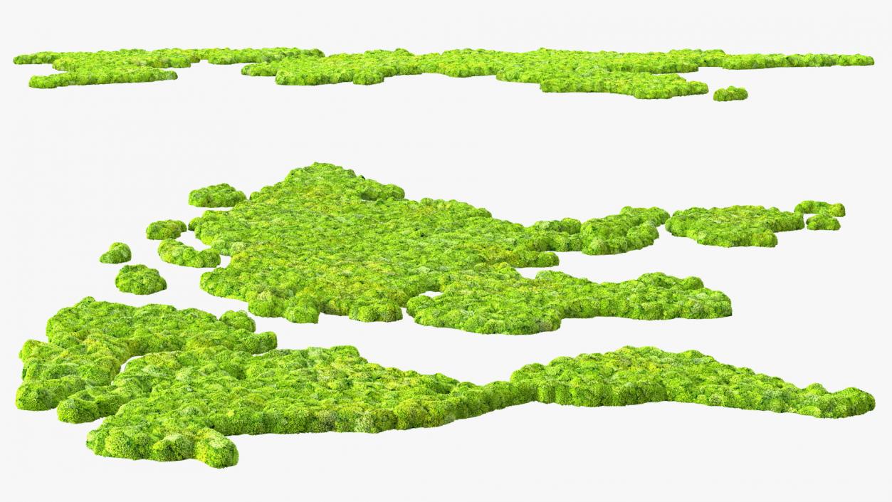 World Map Phytowall Reindeer Moss Panel 3D model