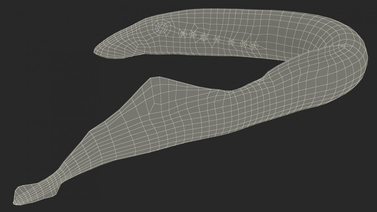 Lamprey Bent Pose 3D