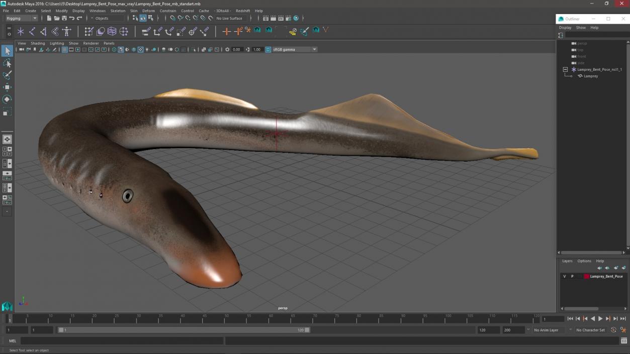 Lamprey Bent Pose 3D