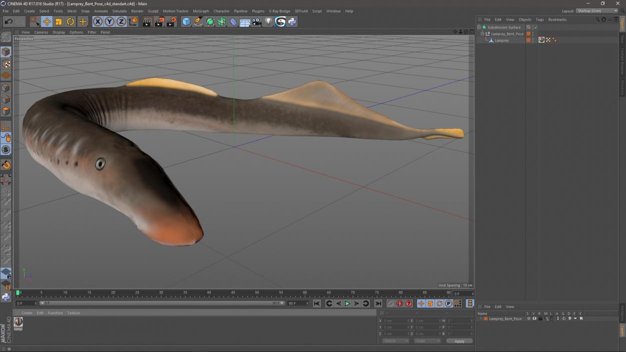 Lamprey Bent Pose 3D