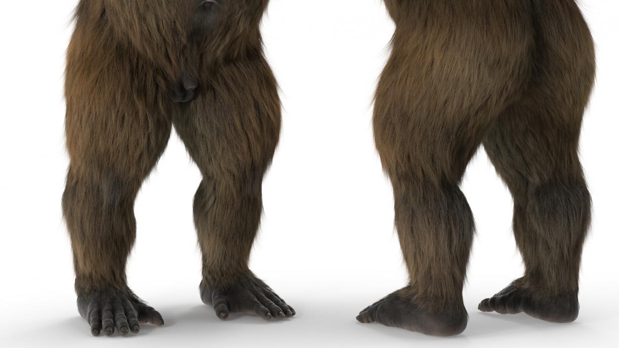 3D Gigantopithecus Fur Rigged