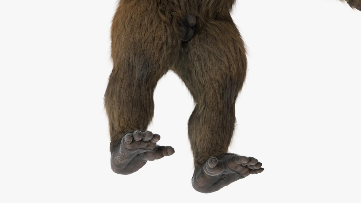 3D Gigantopithecus Fur Rigged