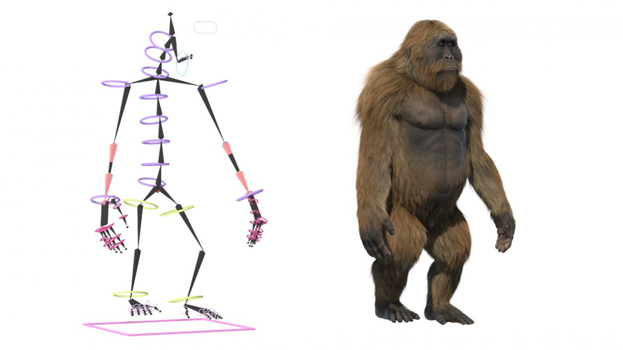 3D Gigantopithecus Fur Rigged