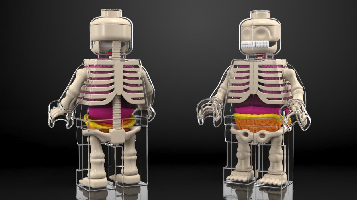 3D model Anatomical LEGO Man Glass