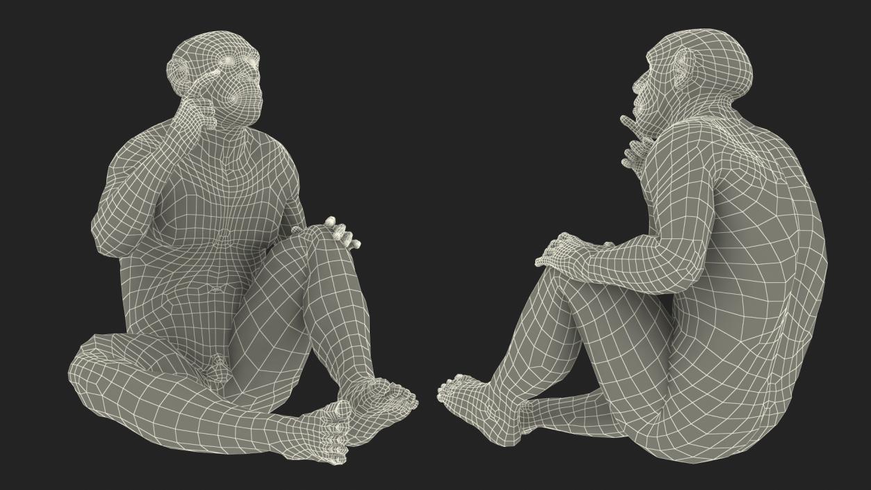 3D Sitting Neanderthal Fur model