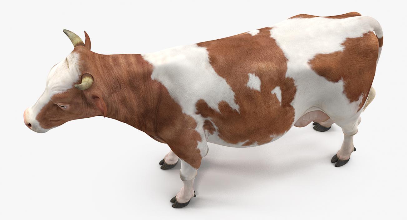 Cow 3D model