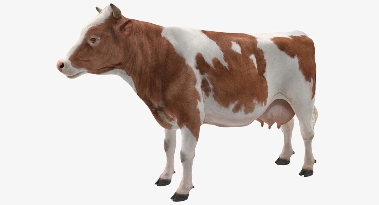 Cow 3D model