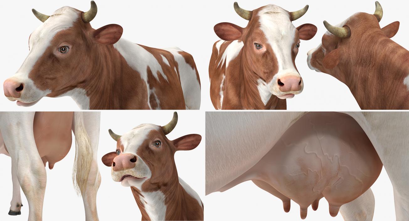 Cow 3D model