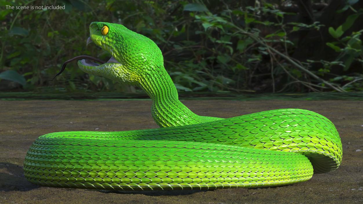 Attacking Green Snake Trimeresurus 3D model