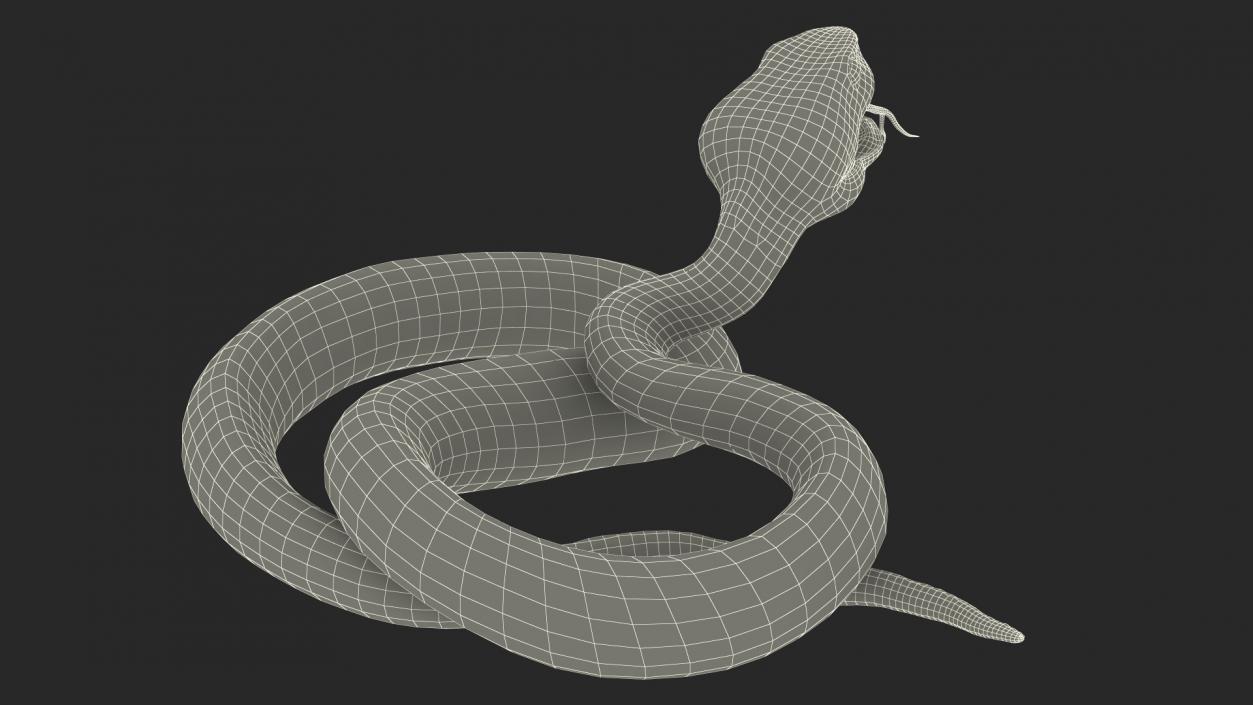 Attacking Green Snake Trimeresurus 3D model