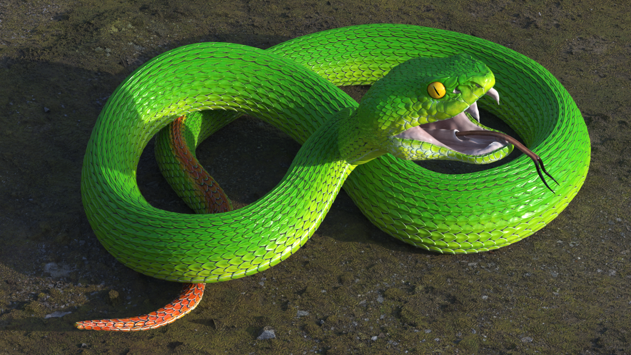 Attacking Green Snake Trimeresurus 3D model