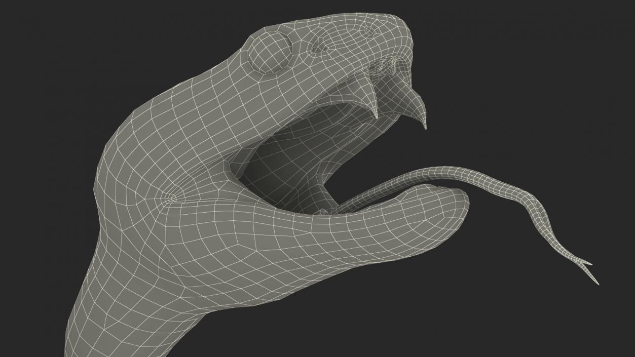 Attacking Green Snake Trimeresurus 3D model