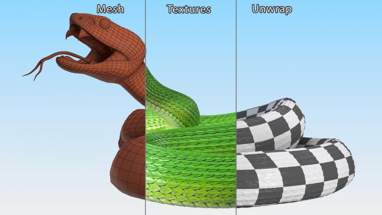 Attacking Green Snake Trimeresurus 3D model