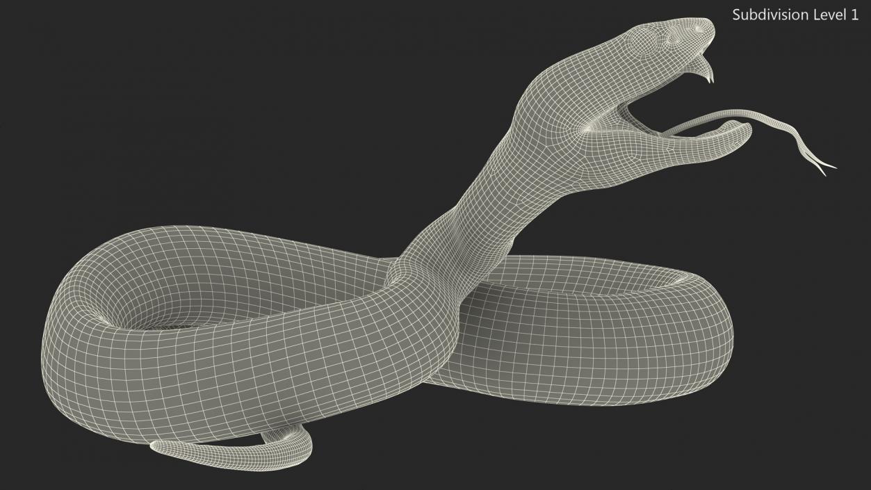 Attacking Green Snake Trimeresurus 3D model