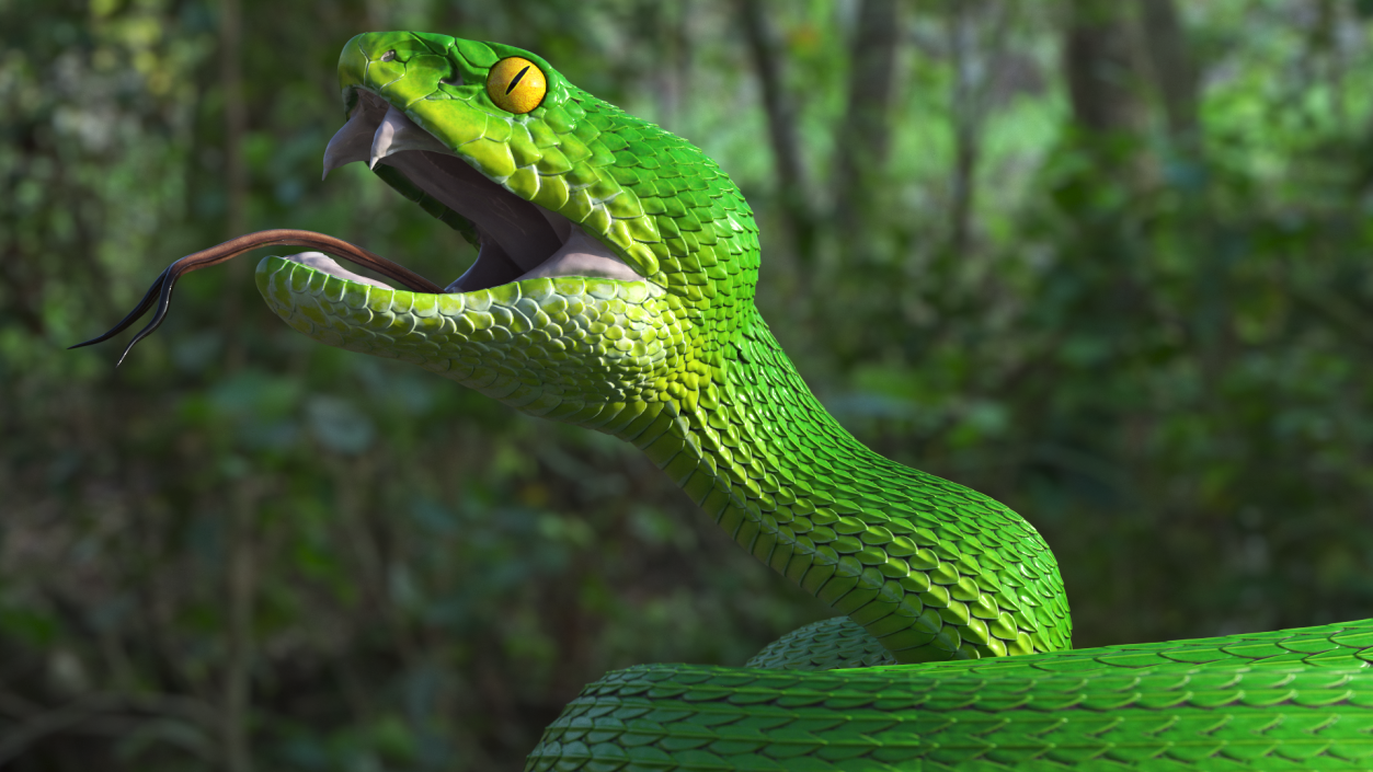 Attacking Green Snake Trimeresurus 3D model