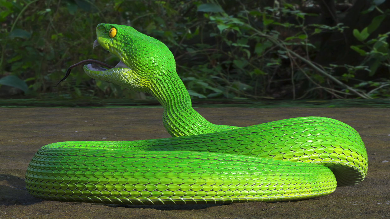 Attacking Green Snake Trimeresurus 3D model