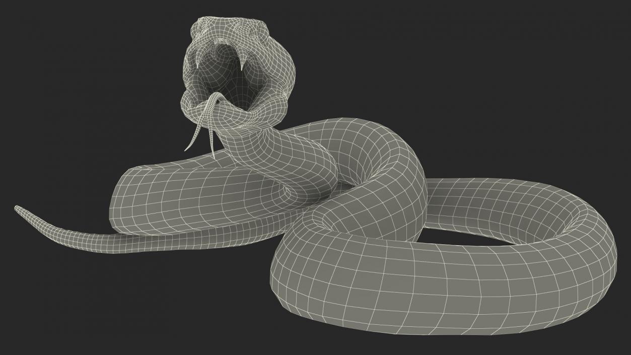 Attacking Green Snake Trimeresurus 3D model