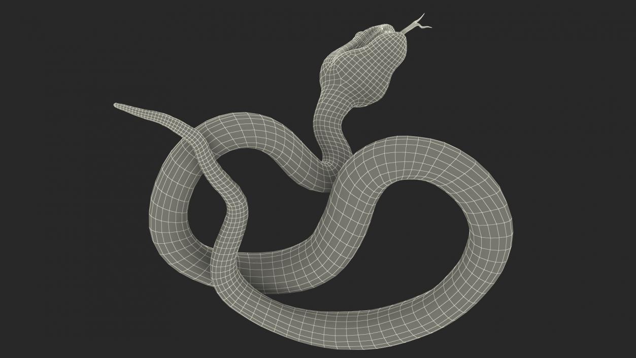 Attacking Green Snake Trimeresurus 3D model