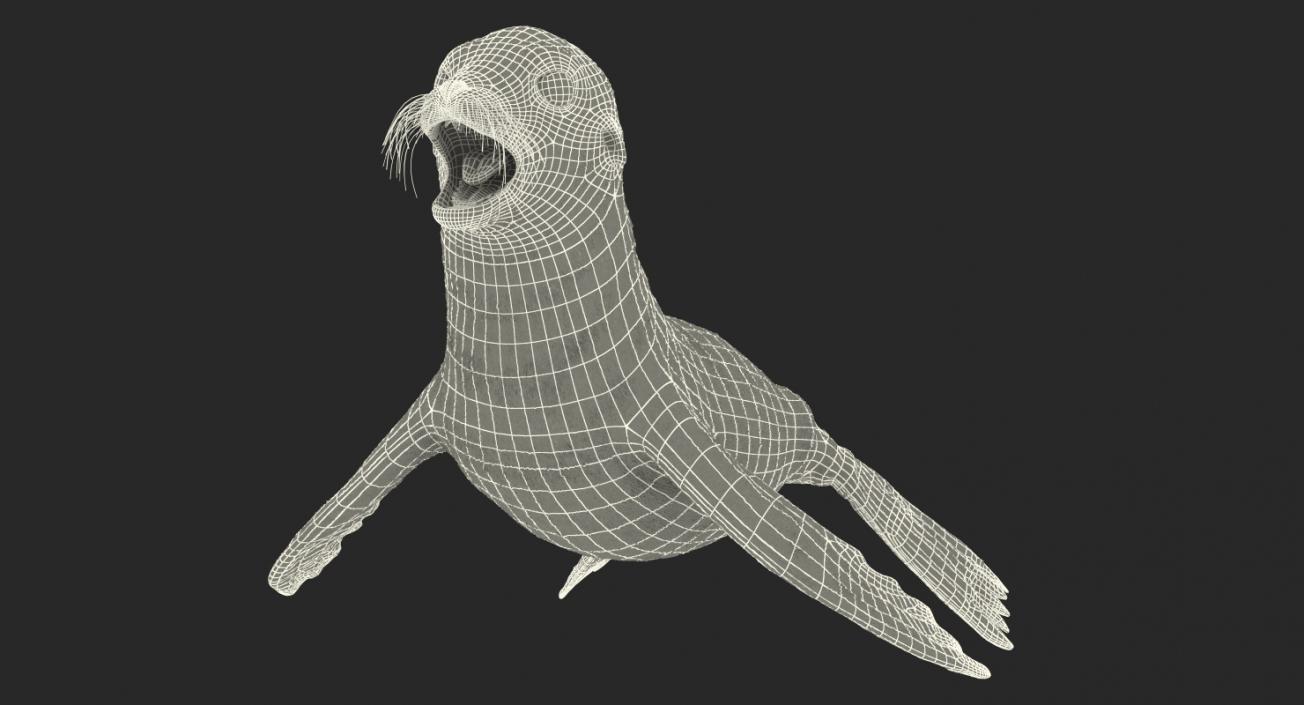 3D model Baby Sea Lion T-Pose