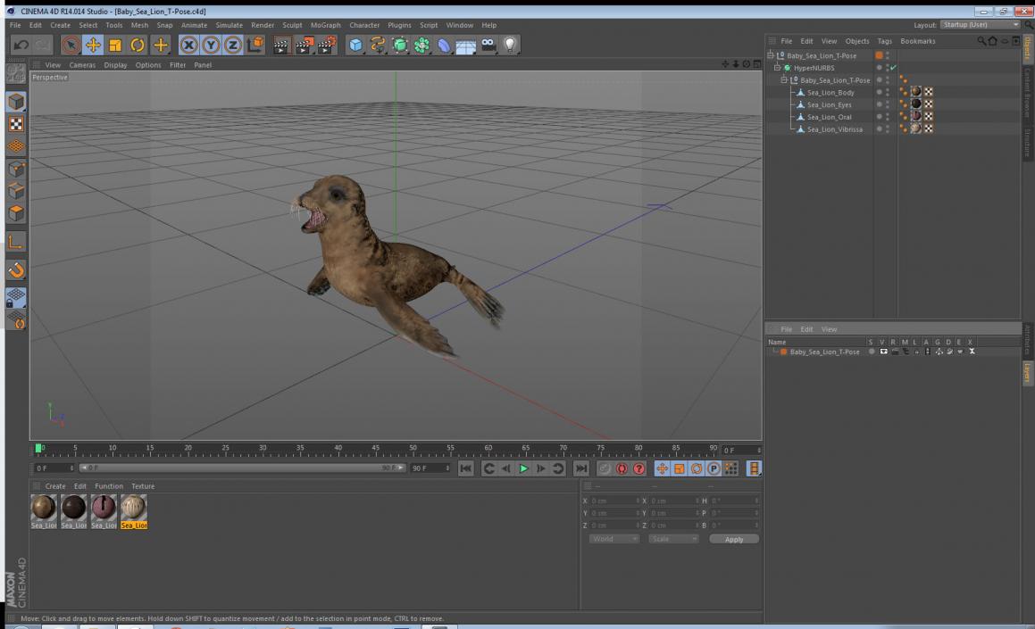 3D model Baby Sea Lion T-Pose