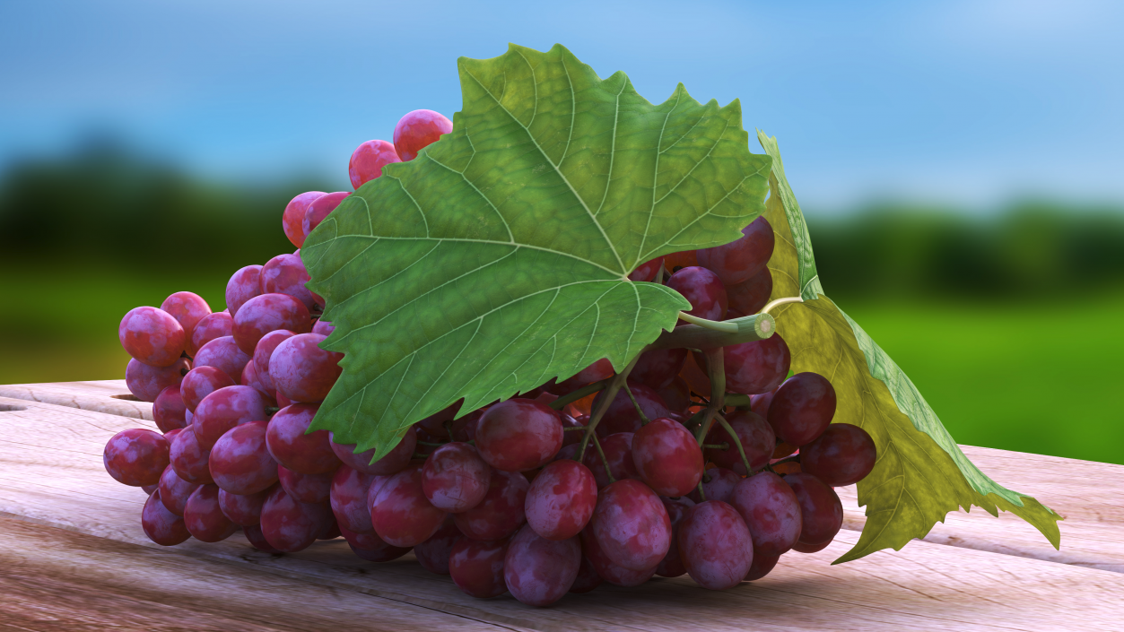 3D Sultana Red Grape Cluster Lying