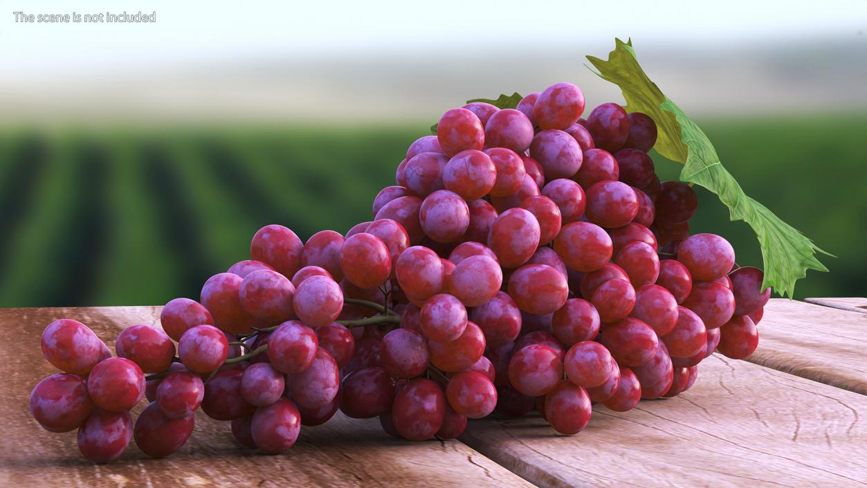 3D Sultana Red Grape Cluster Lying