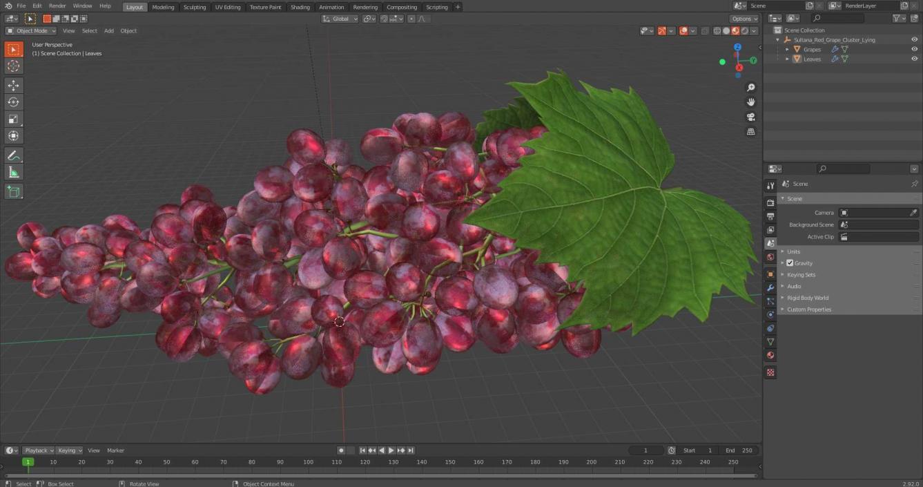 3D Sultana Red Grape Cluster Lying