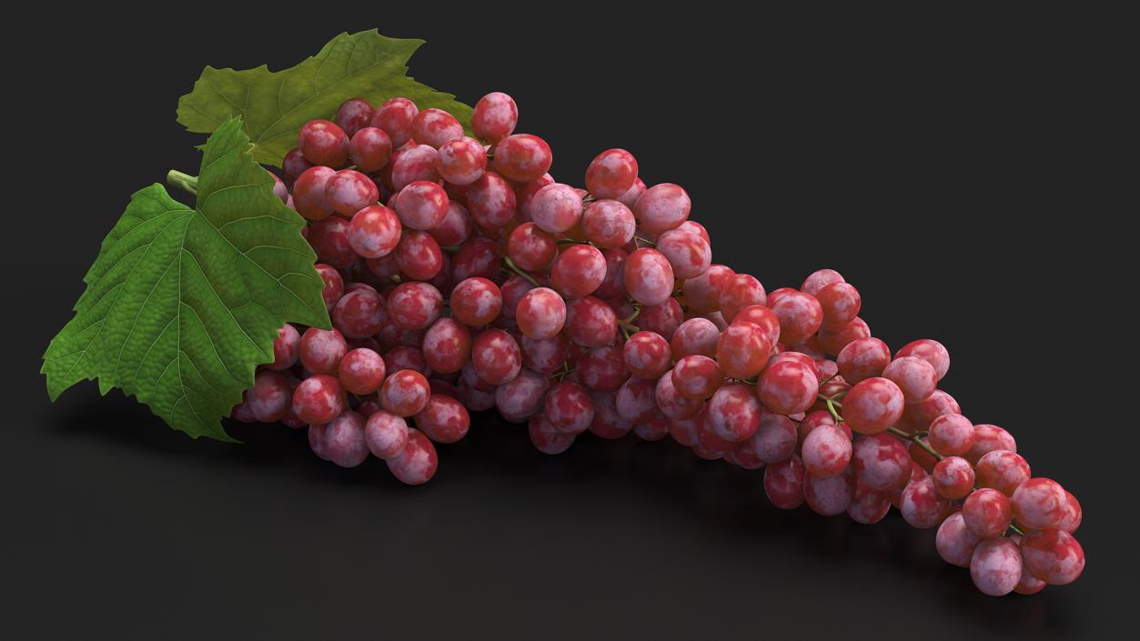 3D Sultana Red Grape Cluster Lying