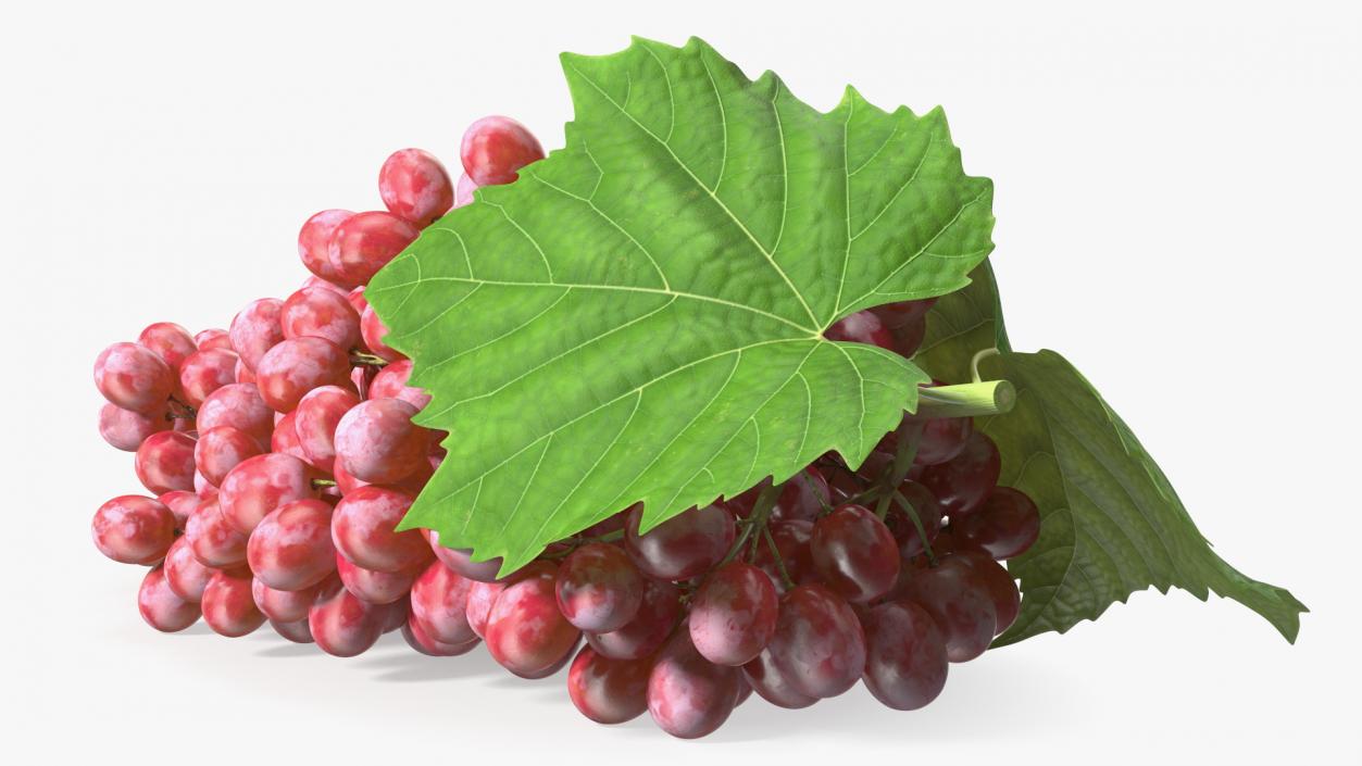 3D Sultana Red Grape Cluster Lying