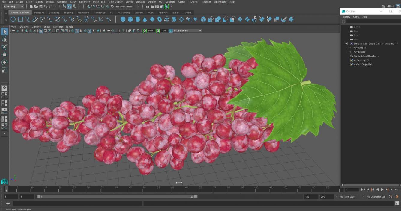 3D Sultana Red Grape Cluster Lying