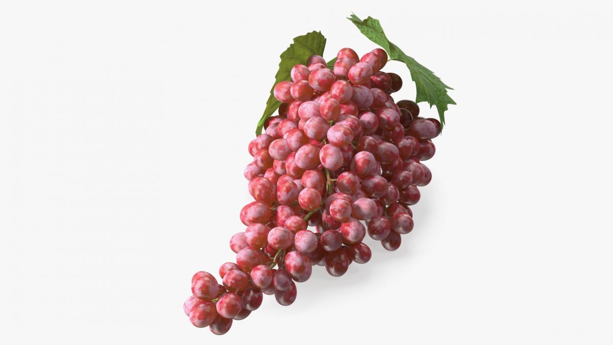 3D Sultana Red Grape Cluster Lying