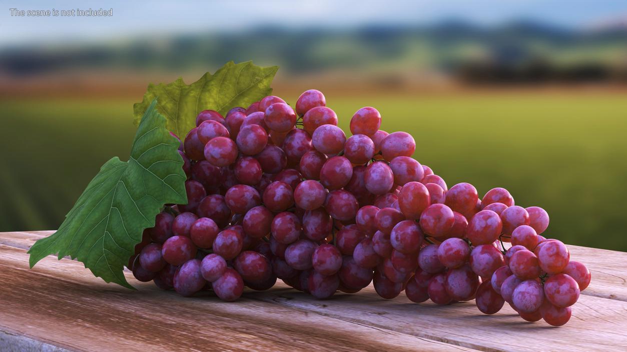 3D Sultana Red Grape Cluster Lying