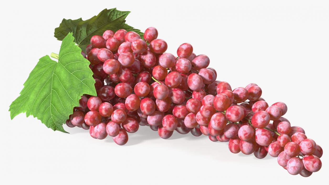 3D Sultana Red Grape Cluster Lying