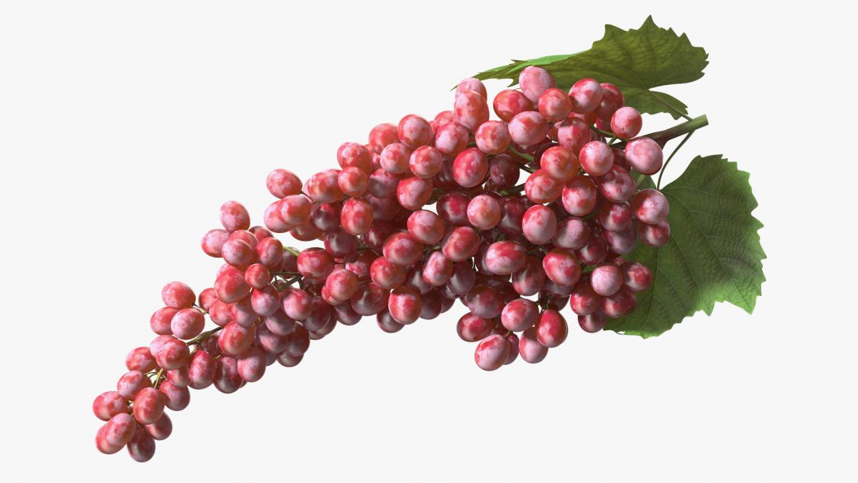 3D Sultana Red Grape Cluster Lying