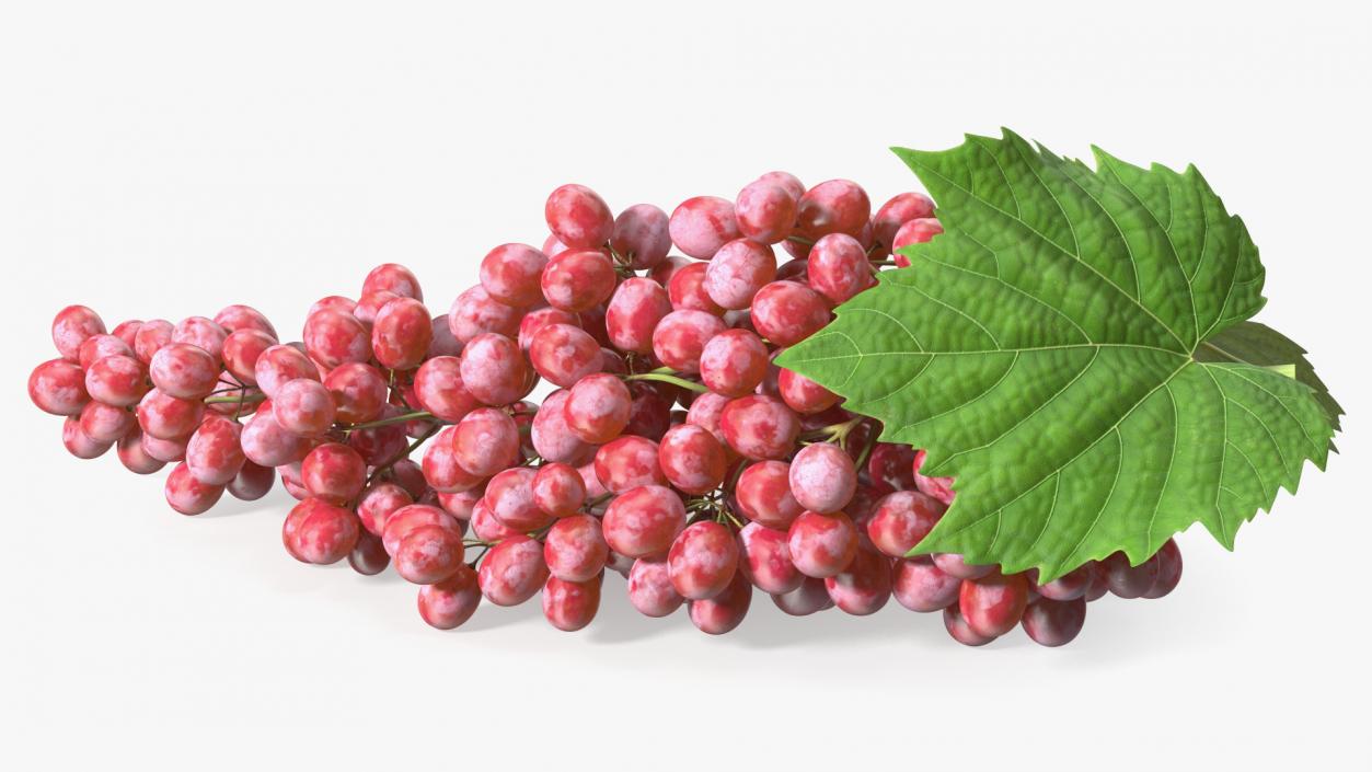 3D Sultana Red Grape Cluster Lying