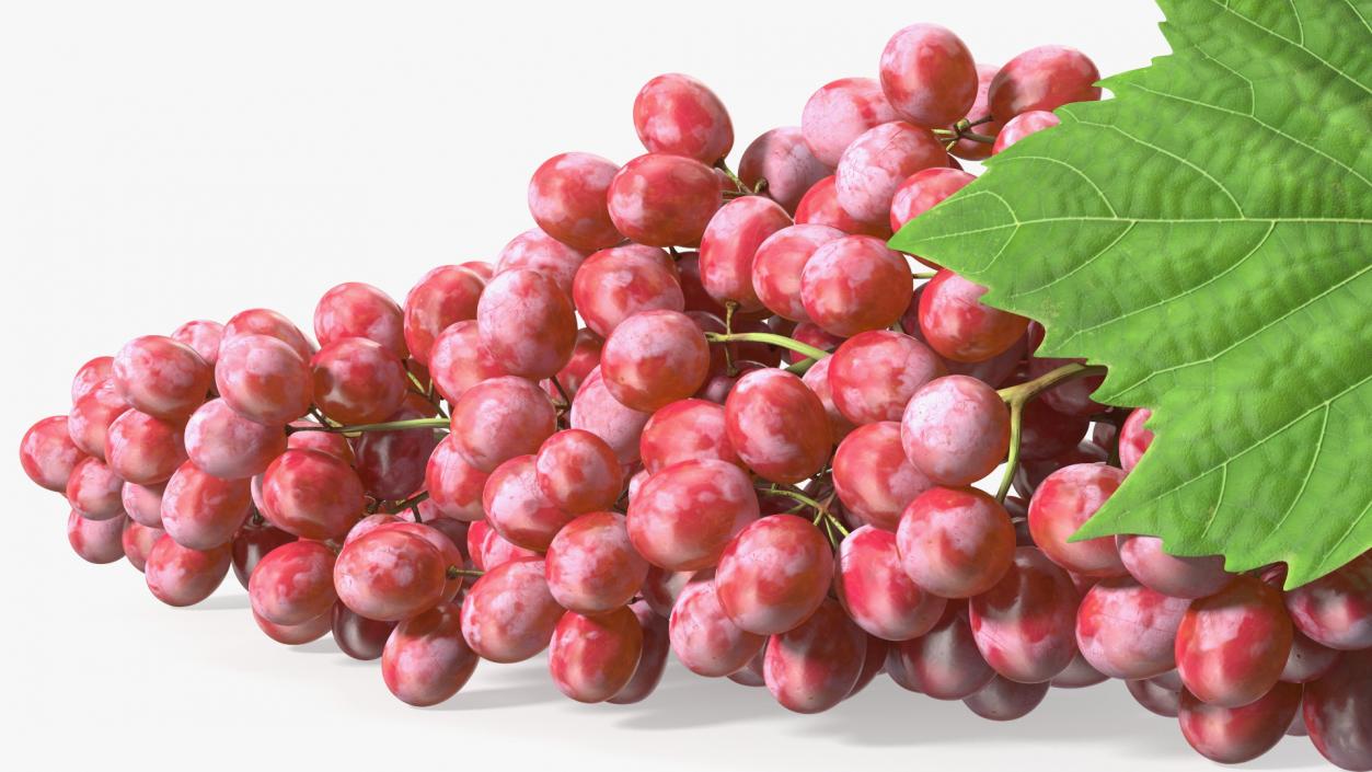 3D Sultana Red Grape Cluster Lying