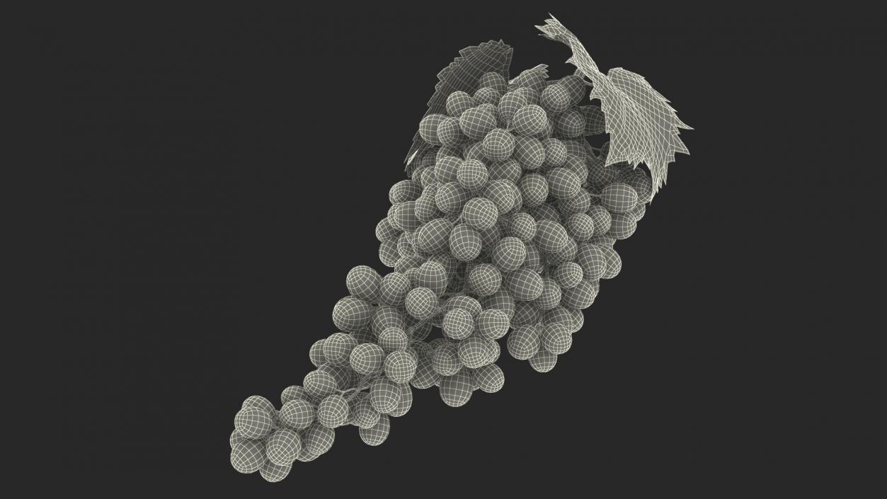 3D Sultana Red Grape Cluster Lying