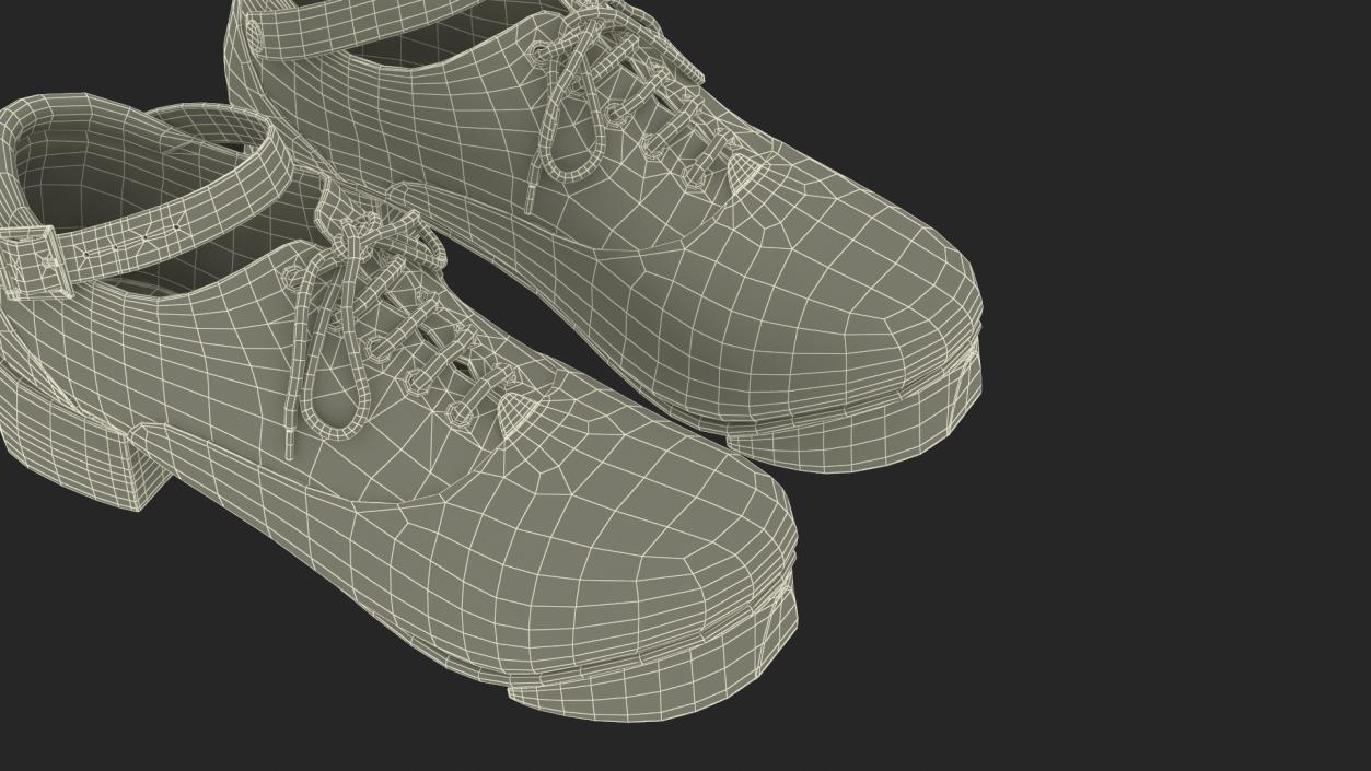 3D Irish Dance Jig Shoes