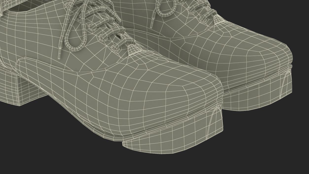 3D Irish Dance Jig Shoes