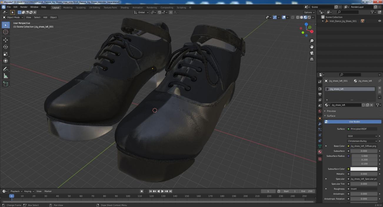 3D Irish Dance Jig Shoes